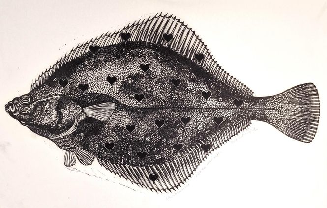 Hovedbilde Fish you were here 100ex