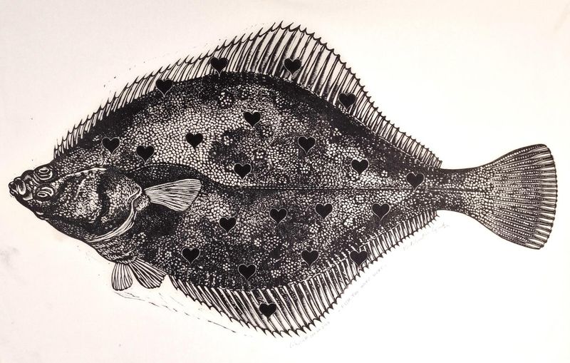 Fish you were here 100ex