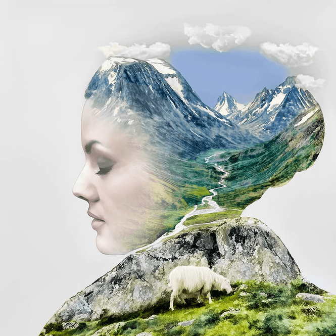 Hovedbilde Mindfulness 30/50