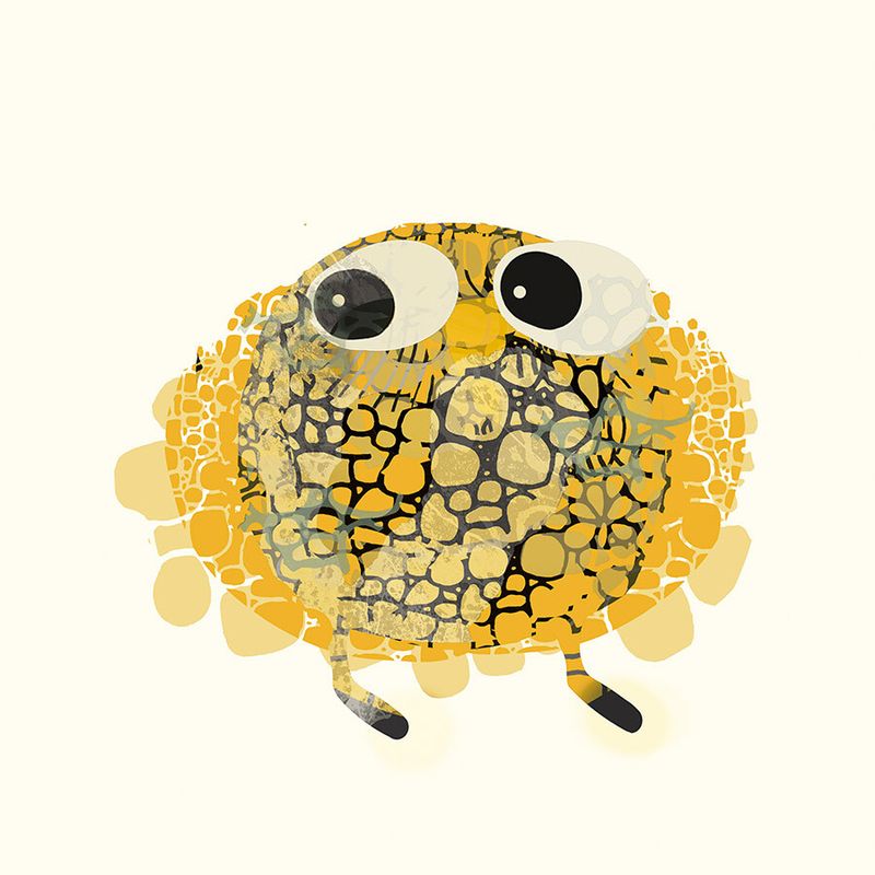 Solfugl 23/100