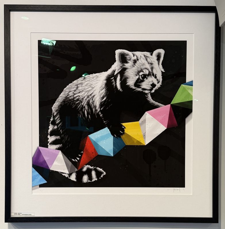 He had to keep the focus' (black)  15/25